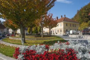 foto Mestna info točka - Ivan Majc_Stari trg v Lukovici (2)
